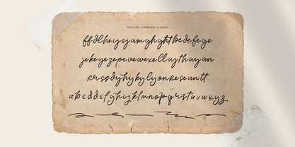 Softspoken Font Poster 12