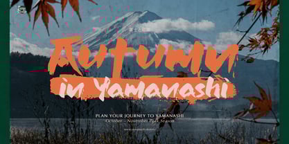 Jinsei Textured Font Poster 2