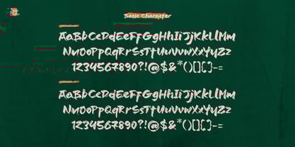 Jinsei Textured Font Poster 10