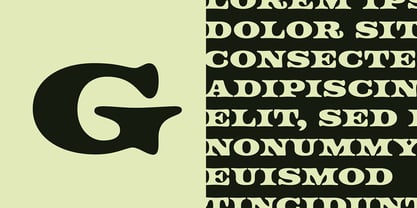 Freehouse Font Poster 6