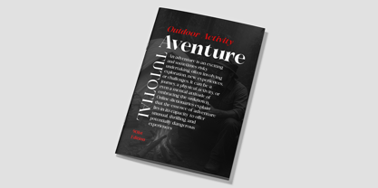 Exactly Font Poster 4