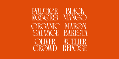 Arganica Brannds Font Poster 3