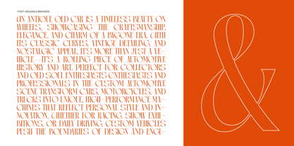 Arganica Brannds Font Poster 4