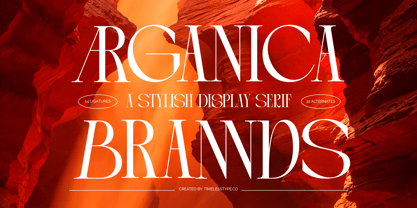 Arganica Brannds Font Poster 1