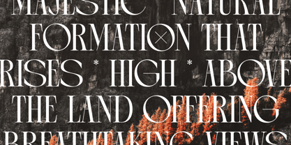 Arganica Brannds Font Poster 8