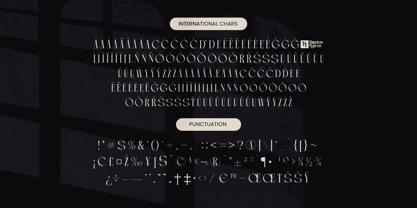 Arganica Brannds Font Poster 15