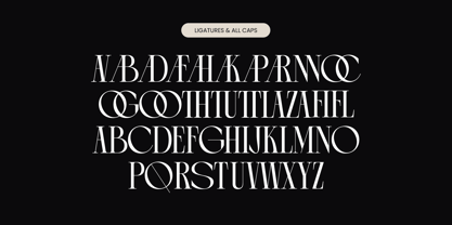 Arganica Brannds Font Poster 14