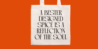 Arganica Brannds Font Poster 5