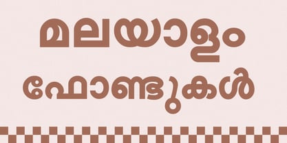 Shree Malayalam 0501 Font Poster 5