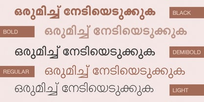 Shree Malayalam 0501 Font Poster 6