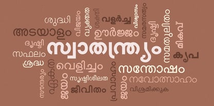 Shree Malayalam 0501 Font Poster 1