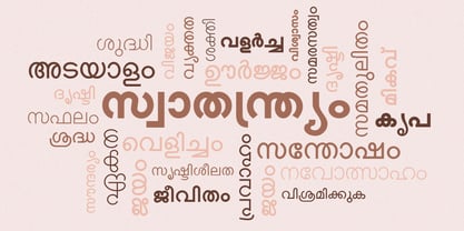 Shree Malayalam 0501 Font Poster 2