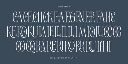 Pearl Tropical Font Poster 10