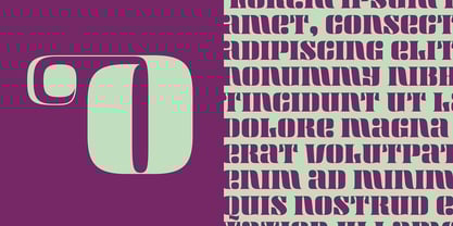 Maraschino Font Poster 8