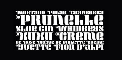 Maraschino Font Poster 7