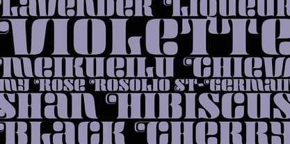 Maraschino Font Poster 2