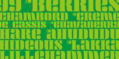 Maraschino Font Poster 4