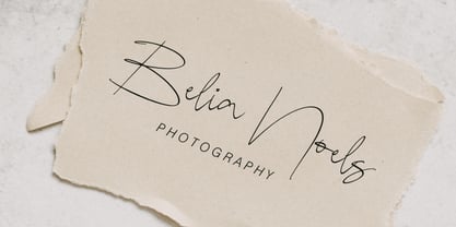 Brian Wiliam Signature Font Poster 4