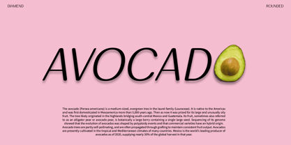 Diamend Rounded Font Poster 2