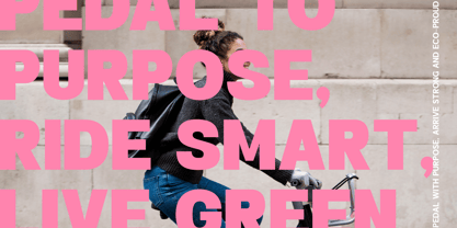 Twilight Blash Font Poster 3