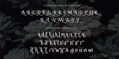 Bright Elegance Font Poster 10