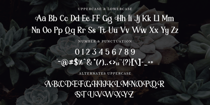 Bright Elegance Font Poster 9