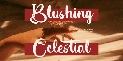 Earthy Nautical Font Poster 10