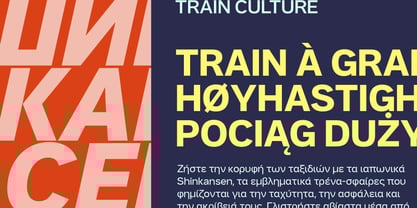 Aaux Pro Pan European Wide Font Poster 6