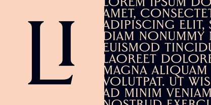 Worthington Arcade Font Poster 13