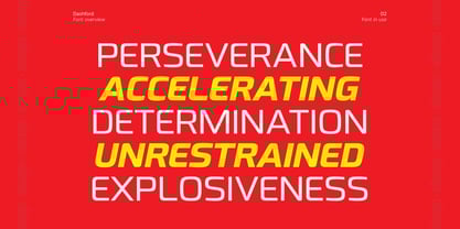 Dashford Font Poster 2