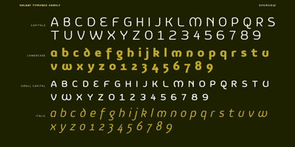 Vulgat Font Poster 2