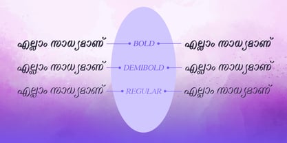 Shree Malayalam 0523 Font Poster 2