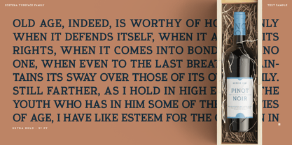 Xcetera Font Poster 11