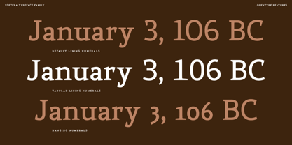 Xcetera Font Poster 9