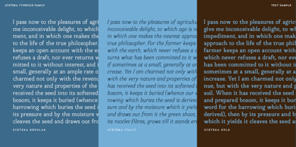 Xcetera Font Poster 4