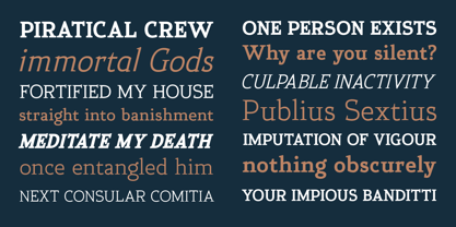 Xcetera Font Poster 6