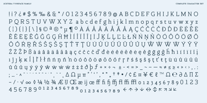 Xcetera Font Poster 15