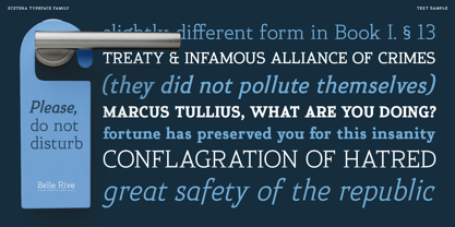 Xcetera Font Poster 13