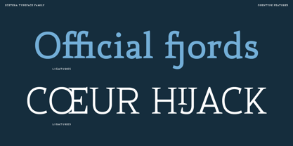 Xcetera Font Poster 7