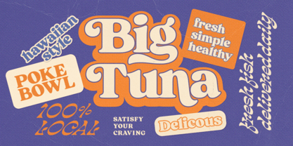 Sunday Club Font Poster 5