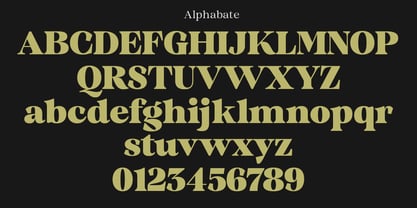 Quirlone Font Poster 8