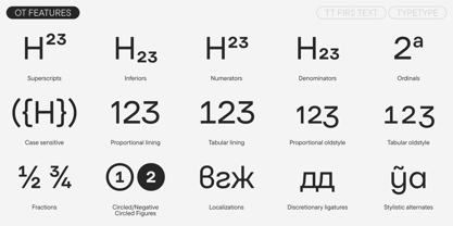 TT Firs Text Font Poster 12