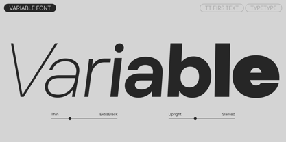 TT Firs Text Font Poster 5