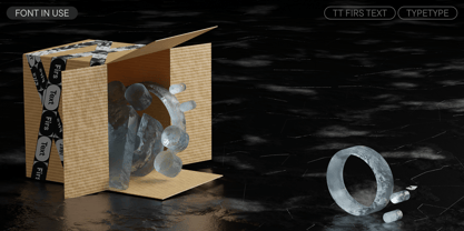 TT Firs Text Font Poster 13