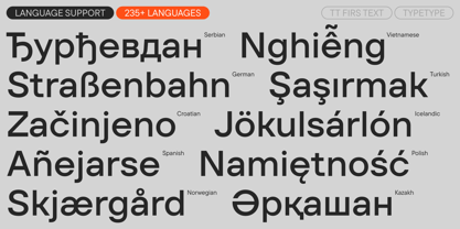 TT Firs Text Font Poster 7