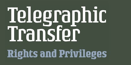 Rogue Serif Font Poster 3