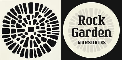 Rogue Serif Font Poster 4