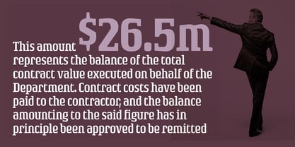 Rogue Serif Font Poster 5