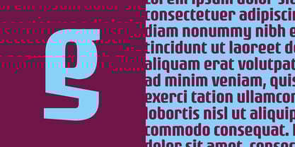 Rogue Serif Font Poster 2