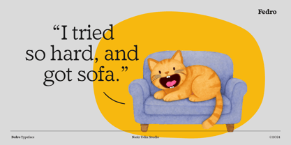 Fedro Font Poster 8